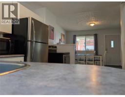 868 Elm, Windsor, ON N9A5H3 Photo 32