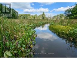 3031 Rainham Road, Haldimand, ON N0A1L0 Photo 15
