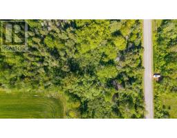 Lot 4 Three Brooks Road, Three Brooks, NS B0K1H0 Photo 13