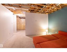 556 Secord Bv Nw, Edmonton, AB T5T7B8 Photo 28