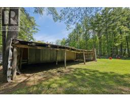 1004 Telecom Road, Kawartha Lakes, ON L0A1K0 Photo 29