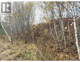 Perfect lots for walkout basements