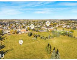 10218 167a Av Nw, Edmonton, AB T5X2Z3 Photo 68