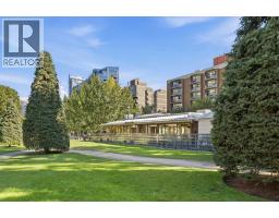 203, 323 13 Avenue SW - photo 39