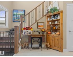 3107 Cameron Heights Wy Nw, Edmonton, AB T6M0R1 Photo 21
