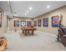 3107 Cameron Heights Wy Nw, Edmonton, AB T6M0R1 Photo 37