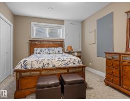 3107 Cameron Heights Wy Nw, Edmonton, AB T6M0R1 Photo 42