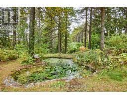 298 Wees Road, Uxbridge, ON L0C1A0 Photo 47