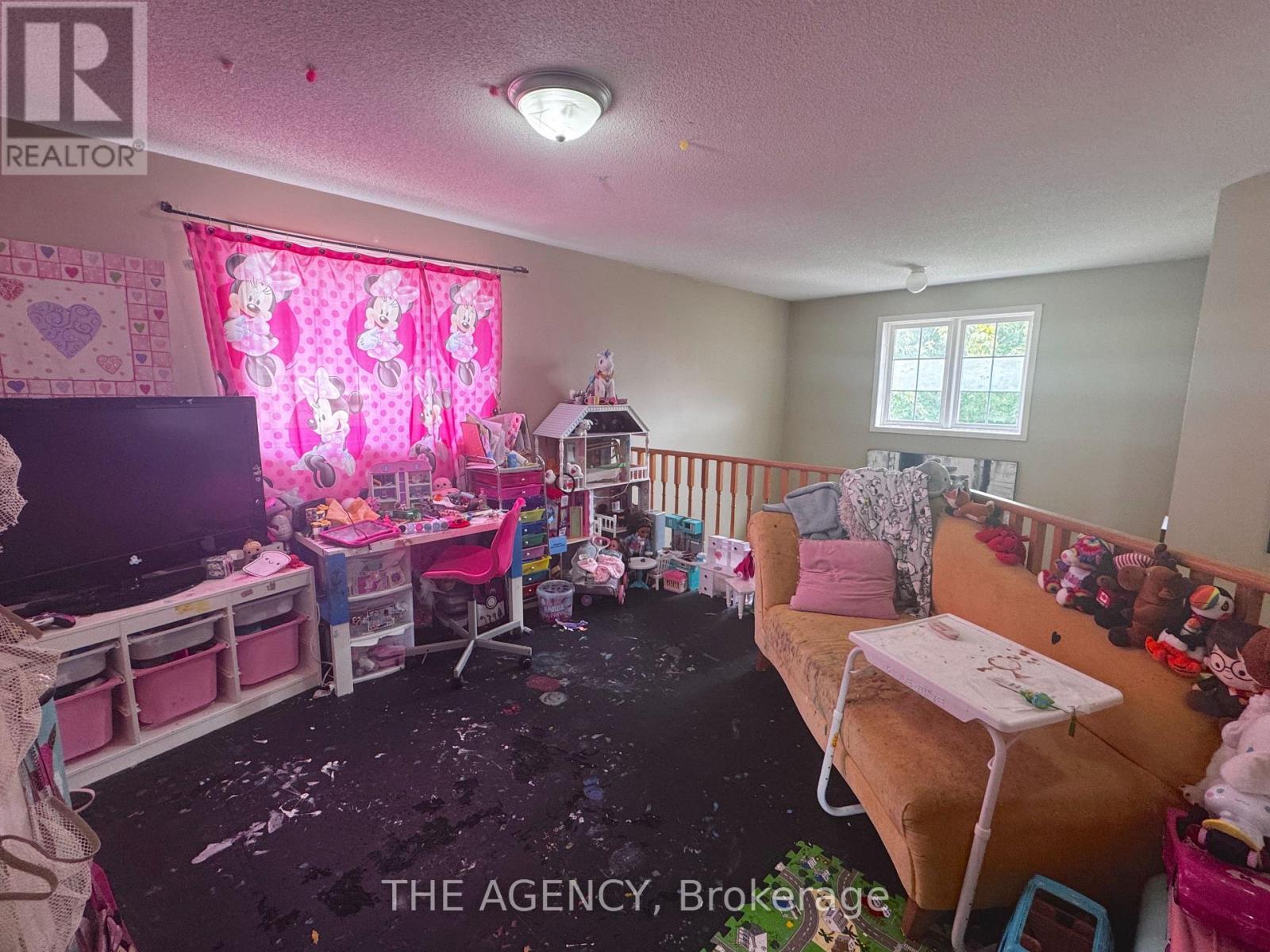 18 Srigley Street, Barrie photo 11