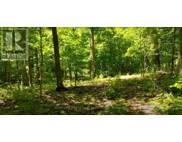 938433 And 938453 Airport Road, Mulmur, ON L0M1K0 Photo 6
