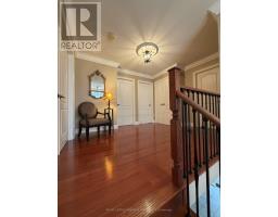 53 Trinita Avenue, Vaughan, ON L4H3J8 Photo 23