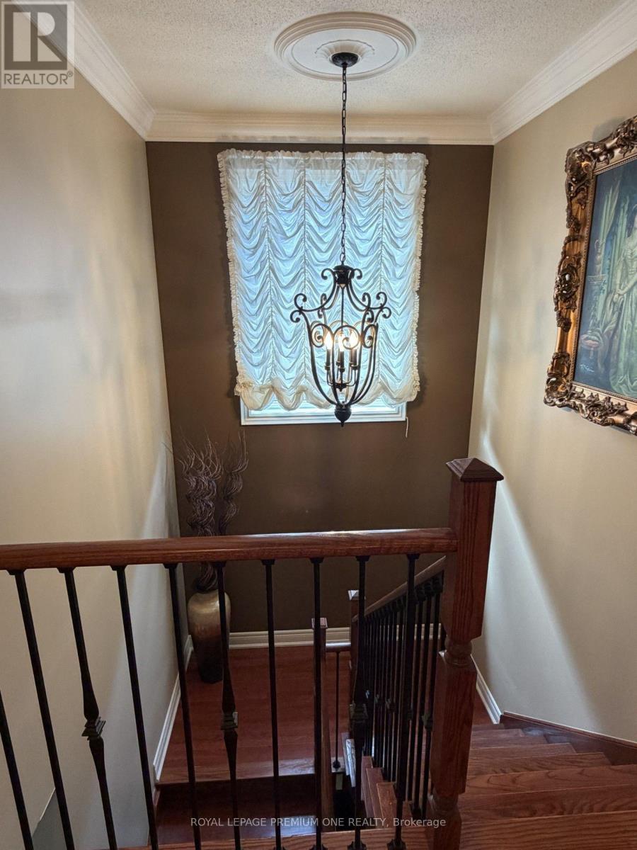 53 Trinita Avenue, Vaughan, ON photo 33
