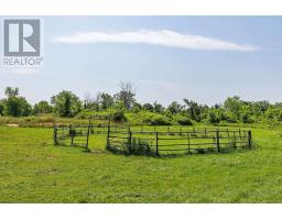 3656 County 14 Road, Stone Mills, ON K0K1Z0 Photo 42