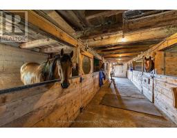 3656 County Rd 14, Stone Mills, ON K0K1Z0 Photo 35