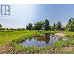 3656 County Rd 14, Stone Mills, ON K0K1Z0 Photo 48