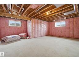3311 Chernowski Way Sw, Edmonton, AB T6W5H2 Photo 49