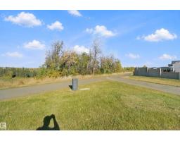 3311 Chernowski Way Sw, Edmonton, AB T6W5H2 Photo 60