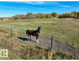 50040 Rge Rd 230, Rural Leduc County, AB T0B3M3 Photo 51