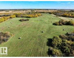 50040 Rge Rd 230, Rural Leduc County, AB T0B3M3 Photo 60