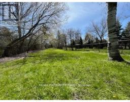 293 Ellerslie Avenue, Toronto, ON M2R1B6 Photo 12