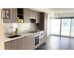 909 - 17 Bathurst Street, Toronto, ON M5V0N1 Photo 7