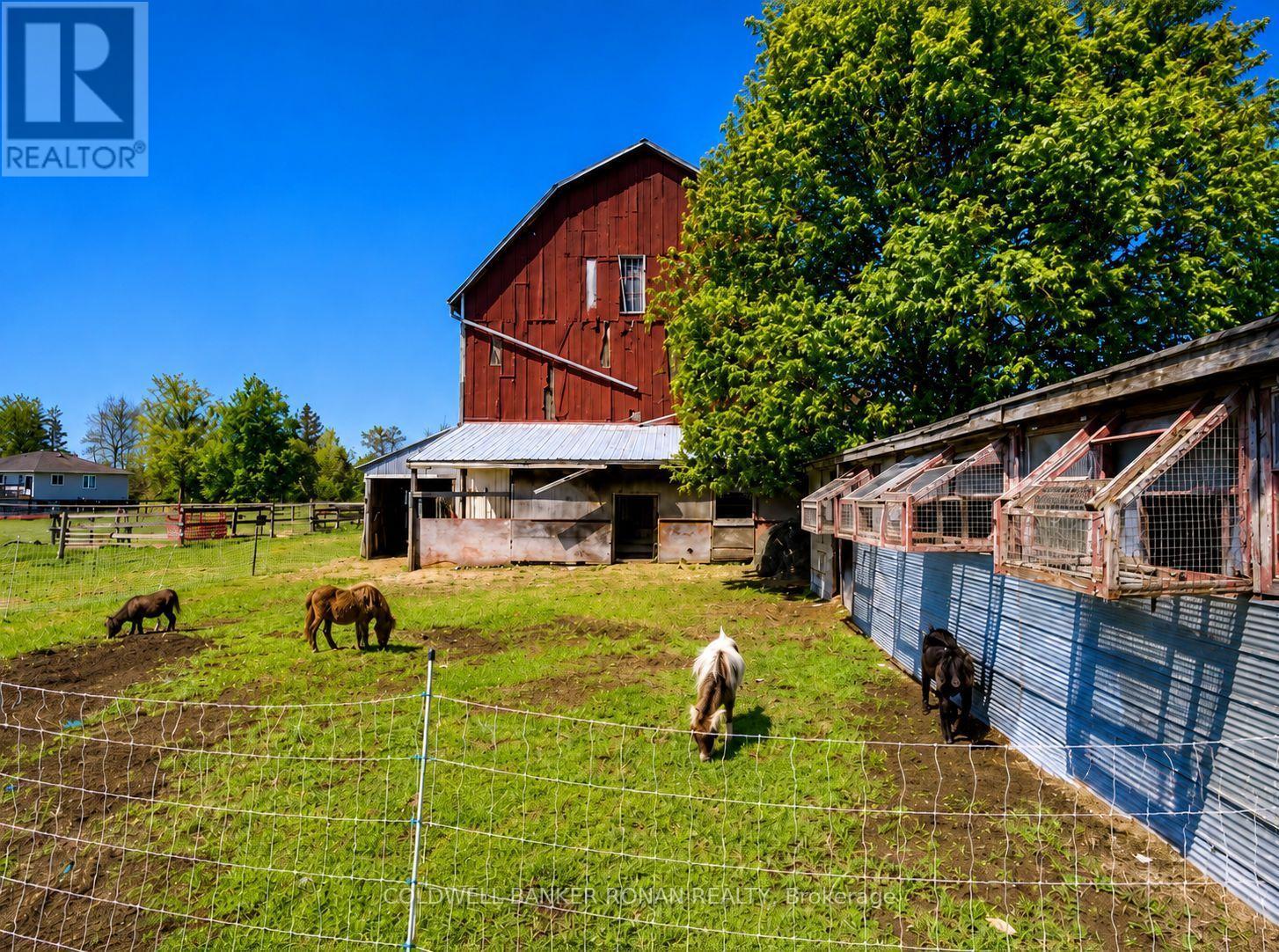 6703 PINE PLAINS ROAD E, Adjala-Tosorontio — photo 4