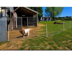 6703 Pine Plains Road E, Adjala Tosorontio, ON L0M1J0 Photo 9