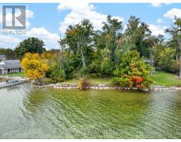 607 Duclos Point Road, Georgina, ON L0E1N0 Photo 49