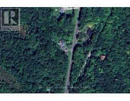 1181 Lone Pine Drive, Bracebridge, ON P1L1X4 Photo 41