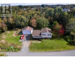 255 Weidner Drive, Prime Brook, NS B1S1V4 Photo 31