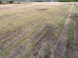 1 Abbotshall Road, Rorketon, MB R0L1R0 Photo 31