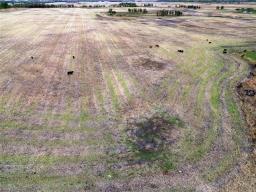 1 Abbotshall Road, Rorketon, MB R0L1R0 Photo 30