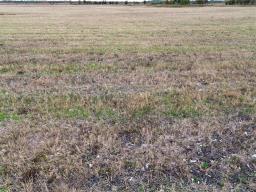 1 Abbotshall Road, Rorketon, MB R0L1R0 Photo 33