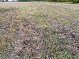 1 Abbotshall Road, Rorketon, MB R0L1R0 Photo 32
