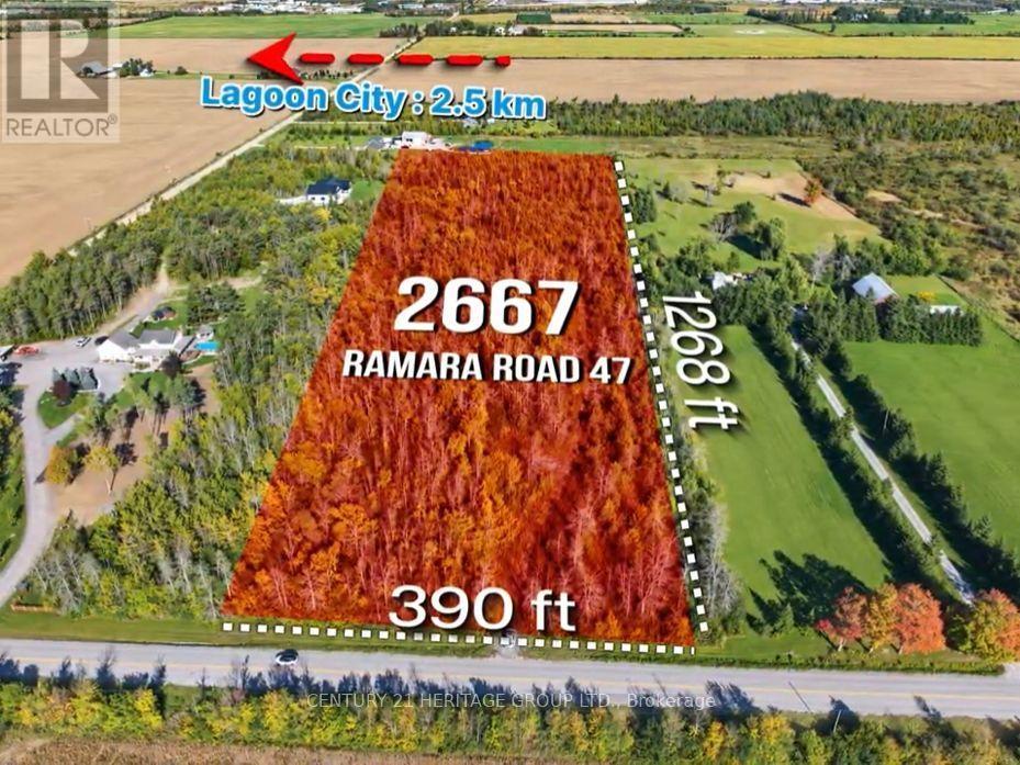 2667 Ramara Rd 47, Ramara, ON photo 2