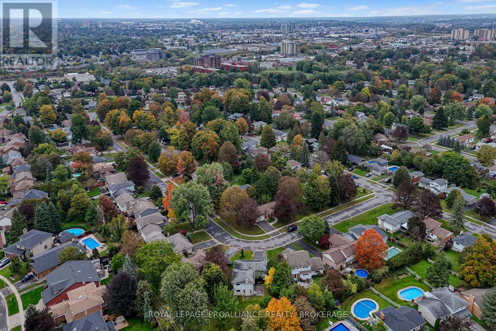 383 BERNICE DRIVE - 50