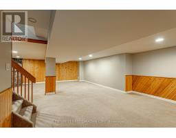 4459 Hamilton Road, Thames Centre, ON N0L1G3 Photo 23