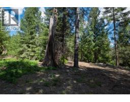 Highway 22 Highway Lot# 3, Rossland, BC V0G1Y0 Photo 49