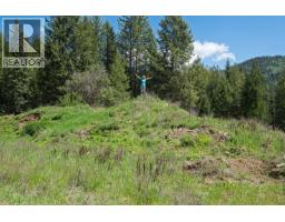 Highway 22 Highway Lot# 3, Rossland, BC V0G1Y0 Photo 25