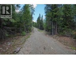 Highway 22 Highway Lot# 3, Rossland, BC V0G1Y0 Photo 34