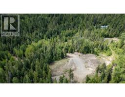Highway 22 Highway Lot# 3, Rossland, BC V0G1Y0 Photo 43