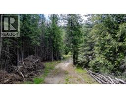 Highway 22 Highway Lot# 3, Rossland, BC V0G1Y0 Photo 57