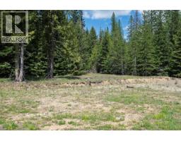 Highway 22 Highway Lot# 3, Rossland, BC V0G1Y0 Photo 18