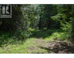 Highway 22 Highway Lot# 3, Rossland, BC V0G1Y0 Photo 53