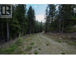 Highway 22 Highway Lot# 3, Rossland, BC V0G1Y0 Photo 33
