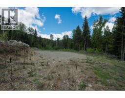 Highway 22 Highway Lot# 3, Rossland, BC V0G1Y0 Photo 42