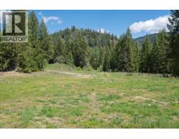 Highway 22 Highway Lot# 3, Rossland, BC V0G1Y0 Photo 19