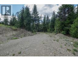 Highway 22 Highway Lot# 3, Rossland, BC V0G1Y0 Photo 32