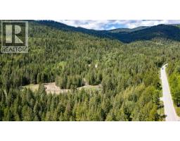 Highway 22 Highway Lot# 3, Rossland, BC V0G1Y0 Photo 63