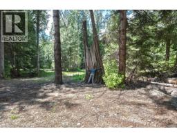 Highway 22 Highway Lot# 3, Rossland, BC V0G1Y0 Photo 56